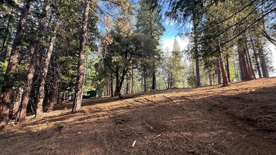 19045 Pine Dr, Pioneer, CA 95666 - photo 6