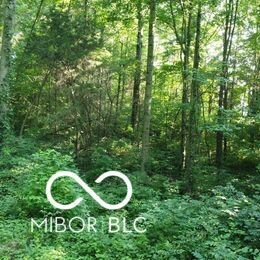 0 E County Road 800 N, Milan, IN 47031 - photo 4