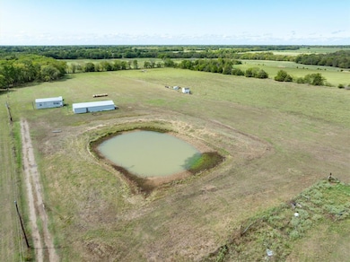 Pond