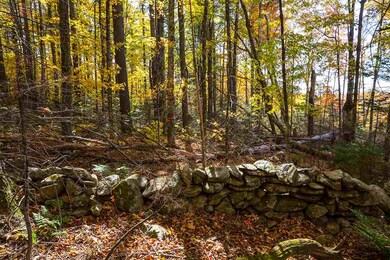 00 Holden Hill Rd unit Lot B, Weston, VT 05161 - photo 2