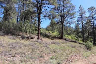 290 Wits End Place, Pagosa Springs, CO 81147 - photo 3