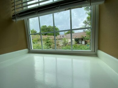 back window scenery