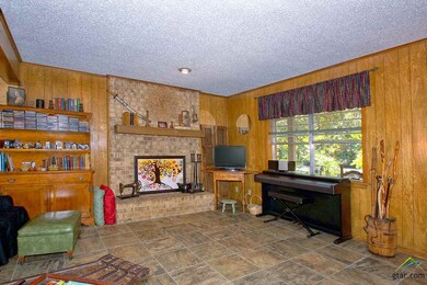 13431 County Road 2216, Tyler, TX 75707 - photo 3