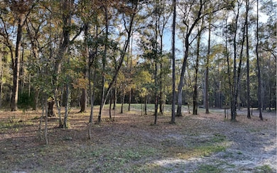 TBD SW Hill Creek Dr, Lake City, FL 32025 - photo 2