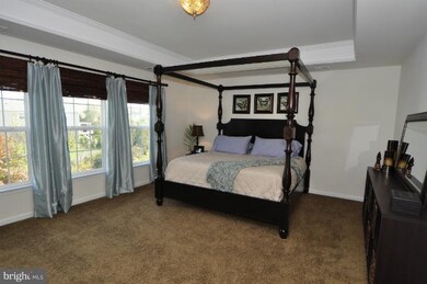 25030 Graywacke Dr, Stone Ridge, VA 20105 - photo 7