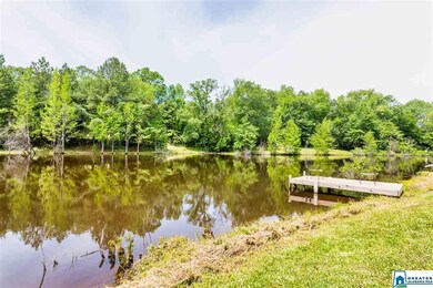 212 Highway 213, Calera, AL 35040 - photo 5
