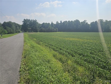 0 Clinton Rd, Weedsport, NY 13166 - photo 4