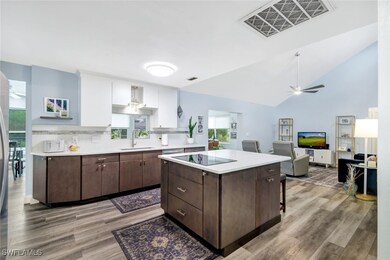 Kitchen with vaulted ceiling, sink, dark brown cab