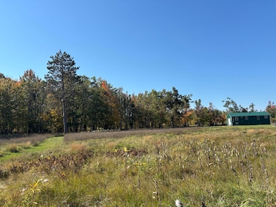 1000 N Hillman Airport, Hillman, MI 49746 - photo 4