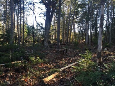 Partially cleared.