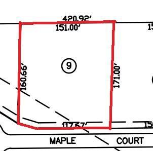 Lot 9