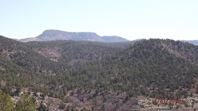 Morley view 4