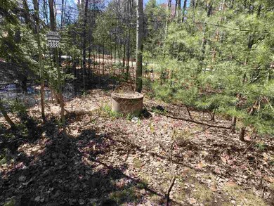 10 Swiggey Brook Rd, Chichester, NH 03258 - photo 3