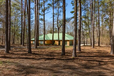 7355 Mckee Rd, Upatoi, GA 31829 - photo 2