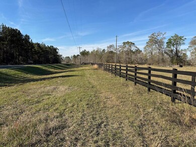 US 1 Us 1 and Hwy 23, Alma, GA 31510 - photo 6