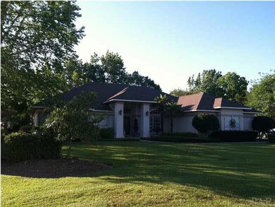 Lots of trees in the back yard providing lots of shade
