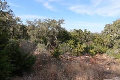 8727 Terra Mont Way, San Antonio, TX 78255 - photo 4