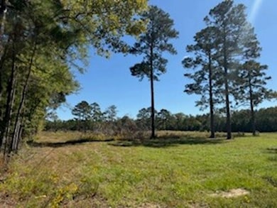 701 Barnes Rd, Pike Road, AL 36064 - photo 2