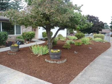 Front Yard