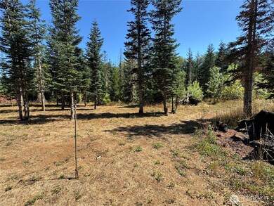 143 Homer Ln, Chehalis, WA 98532 - photo 6