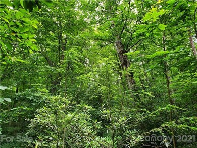 Treetop living - Nothing but trees and nature arou