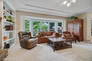 3711 Bronte Ct, Naperville, IL 60564 - photo 5