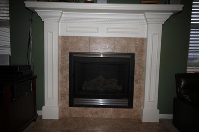 Gas Fireplace in Living Room