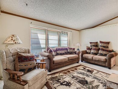 116 Virginia St, Idaho Springs, CO 80452 - photo 4