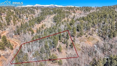 542 Vivenda Rd, Cripple Creek, CO 80813 - photo 2