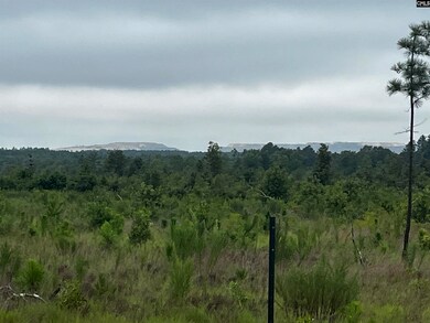 703 Neds Creek Rd, Kershaw, SC 29067 - photo 4