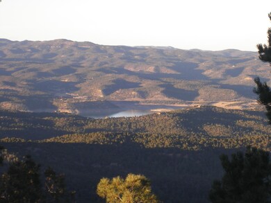 50 Pine Nut Dr unit 2/Lot 70, Trinidad, CO 81082 - photo 6