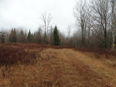 823 Baird Rd, Newark, VT 05871 - photo 4