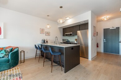 718 W Babcock St unit 310, Bozeman, MT 59715 - photo 6