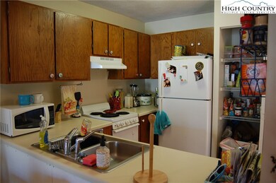 475 Meadowview Dr unit B301, Boone, NC 28607 - photo 2