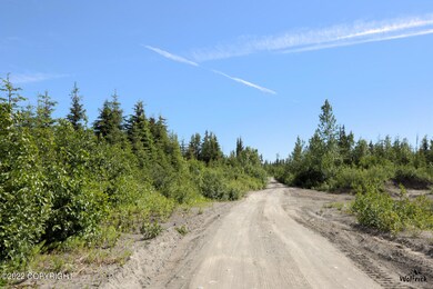 D24 Alaskan Wildwood Ranch(r), Nikolaevsk, AK 99556 - photo 5