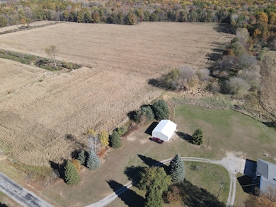 16753 S Fenmore Rd, Bannister, MI 48807 - photo 6