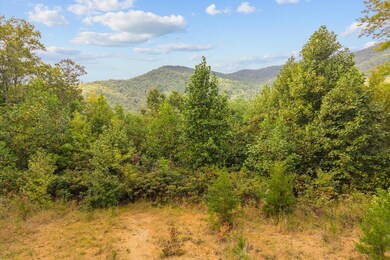 0 Grassy Mountain Rd unit 1521379, Chatsworth, GA 30705 - photo 6