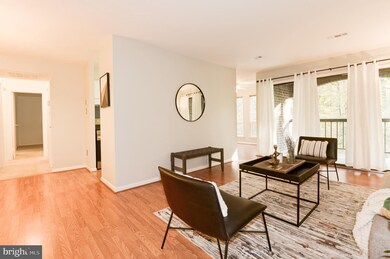 11220 Chestnut Grove Square unit 11220-222, Reston, VA 20190 - photo 5