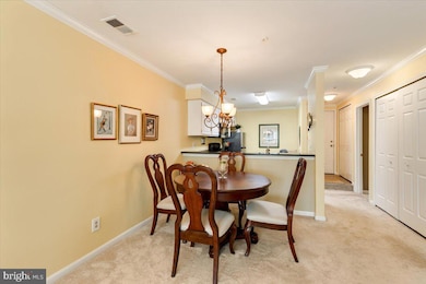 244 S Reynolds St unit 403, Alexandria, VA 22304 - photo 6