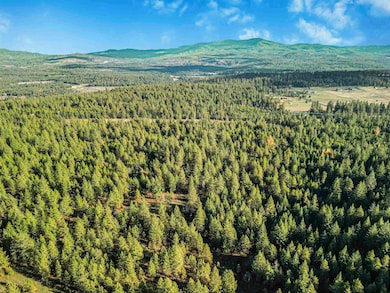 XXX N Waldrons Ln, Chattaroy, WA 99003 - photo 5