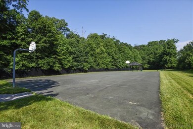 2703 Snowbird Terrace unit 2, Silver Spring, MD 20906 - photo 4