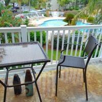 850 Mallery St unit 14A, Saint Simons Island, GA 31522 - photo 5