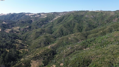 11311 Pine Flat Rd, Healdsburg, CA 95448 - photo 7