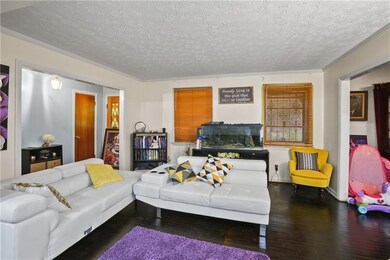 Living room with dark wood finished floors, a textured ceiling, and ornamental molding