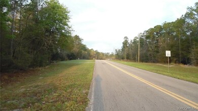 28 Lot SW 88th Place Rd, Dunnellon, FL 34431 - photo 2