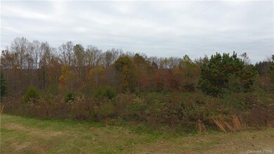 0 Tyringham Dr unit 47, Howards Creek, NC 28033 - photo 5