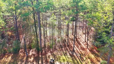 1008 Smith Ln, McComb, MS 39648 - photo 6