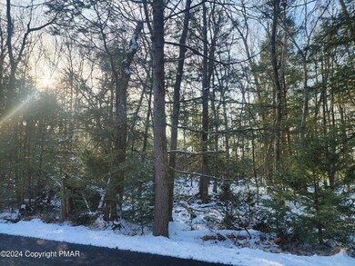 0 Yellow Run Rd unit 752474, Penn Forest Township, PA 18229 - photo 3