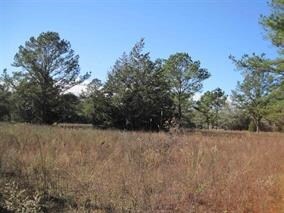 lot on Crawfordville Hwy, Crawfordville, FL 32327 - photo 2