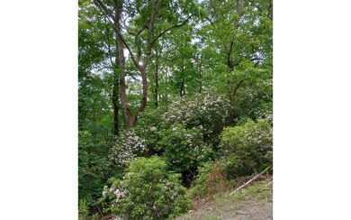 Additional View
